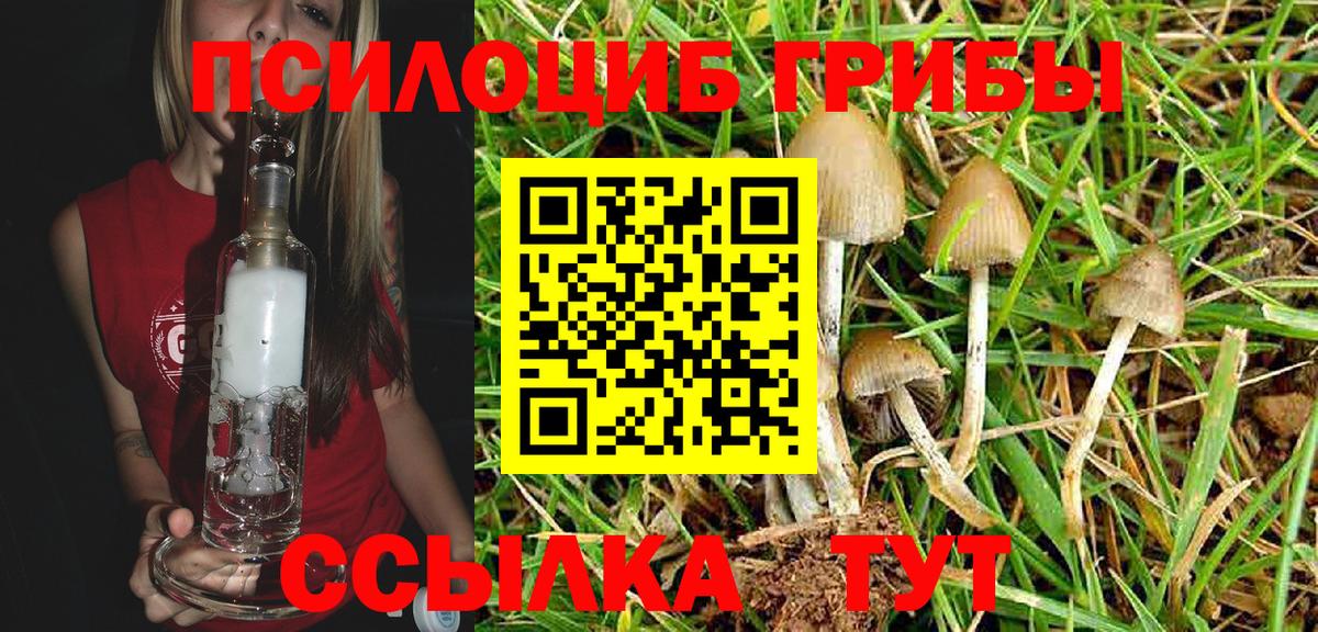 Галлюциногенные грибы MAGIC MUSHROOMS Кореновск