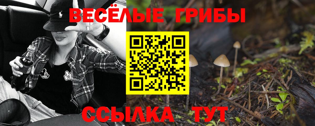 Кореновск  магазин    Вход с VPN  Галлюциногенные грибы Psilocybe  Галлюциногенные грибы Cubensis 